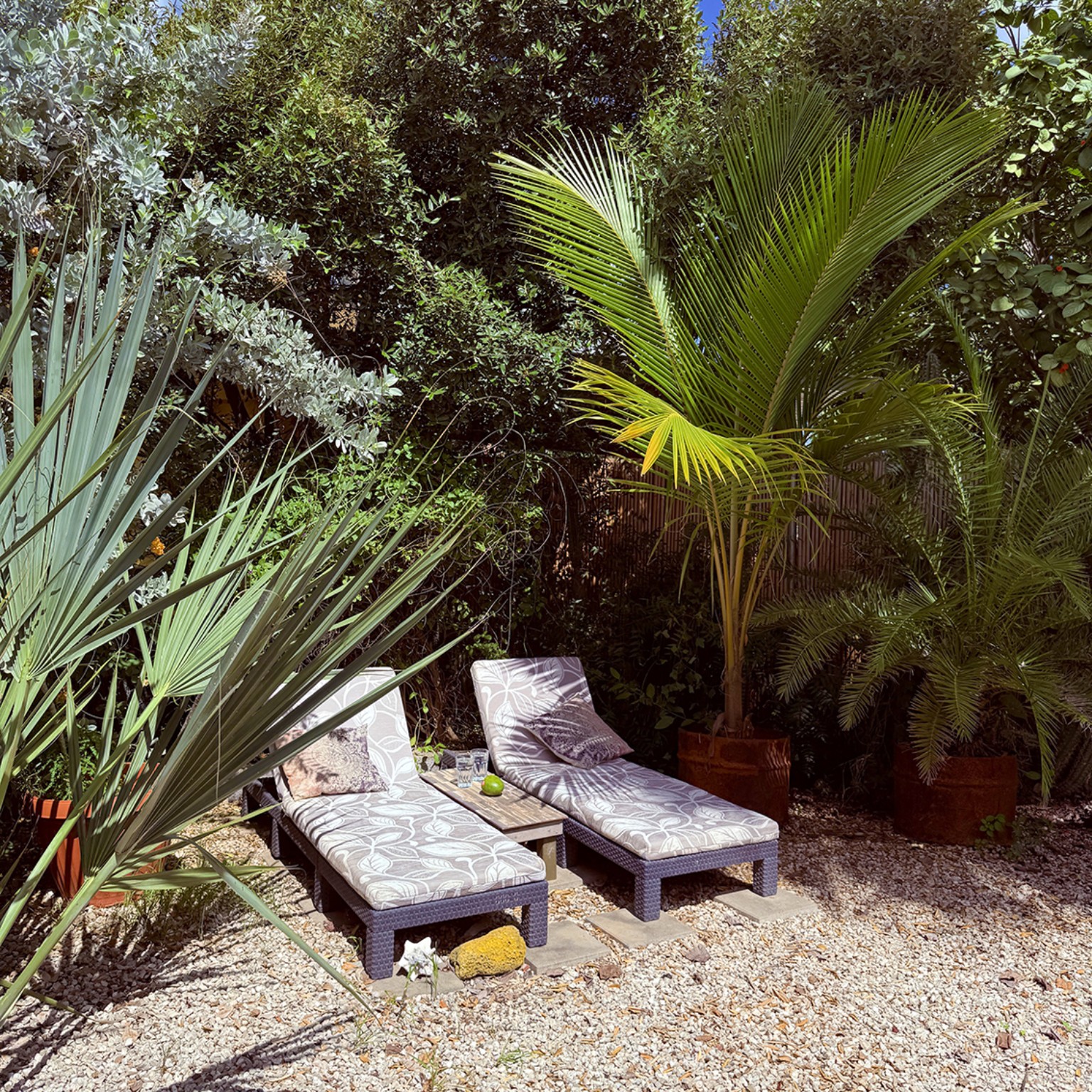 Ligbedden tussen de tropische beplanting
